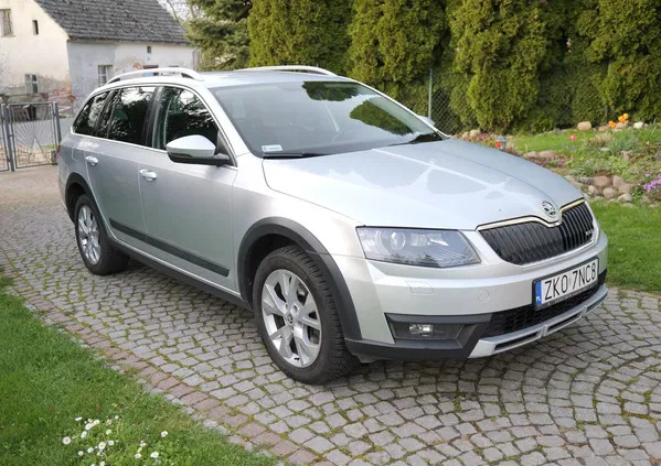 Skoda Octavia cena 57900 przebieg: 240000, rok produkcji 2015 z Nysa małe 466